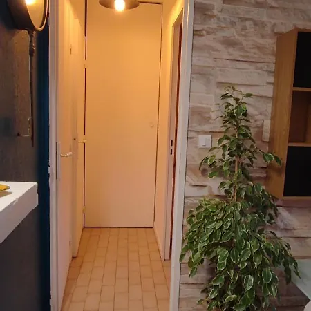 Apartment Plein Centre De Maxime *