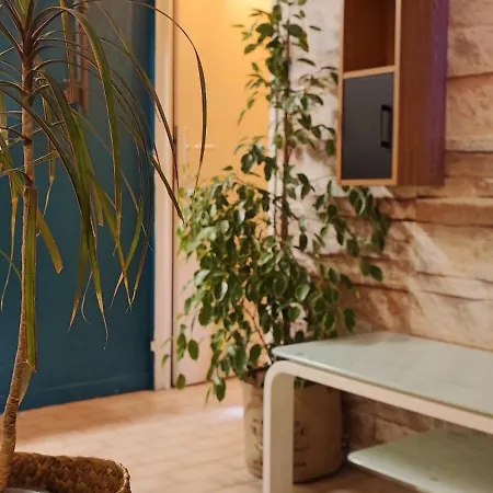 Appartement Plein Centre De Maxime