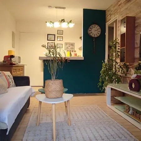 Appartement Plein Centre De Maxime *